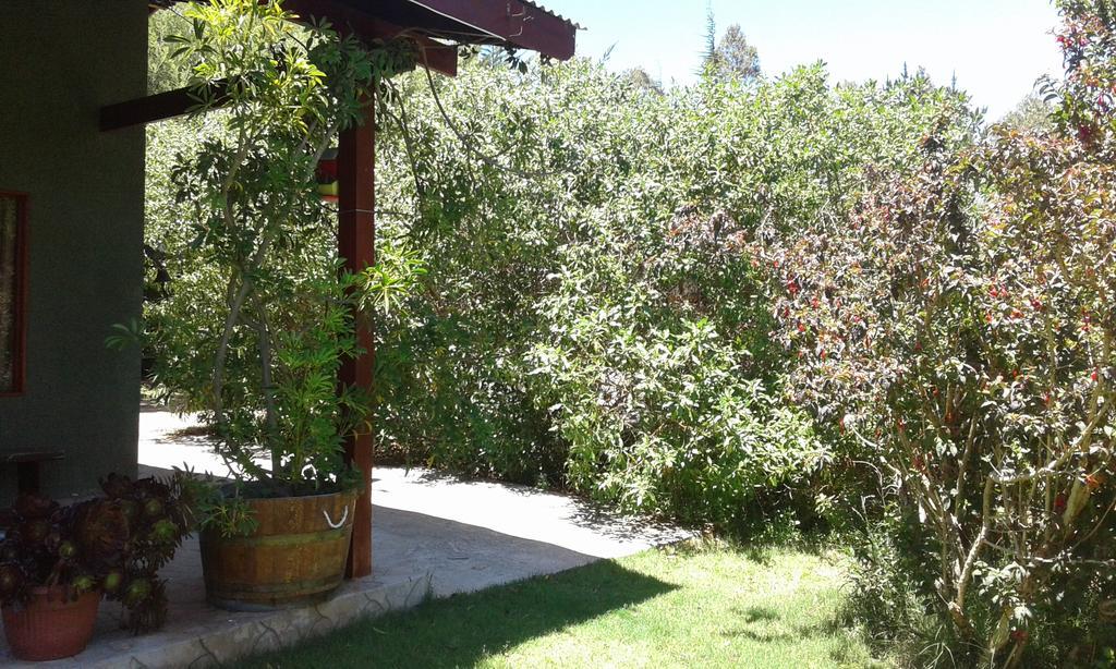 El Algarrobo Pension Buitenkant foto